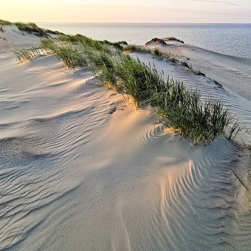 Dunes in Curonian Spit National Park
Sunrise in the dunes
Recreation / tourism
Juras Jankevicius